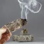 Шавлія біла (Salvia apiana)